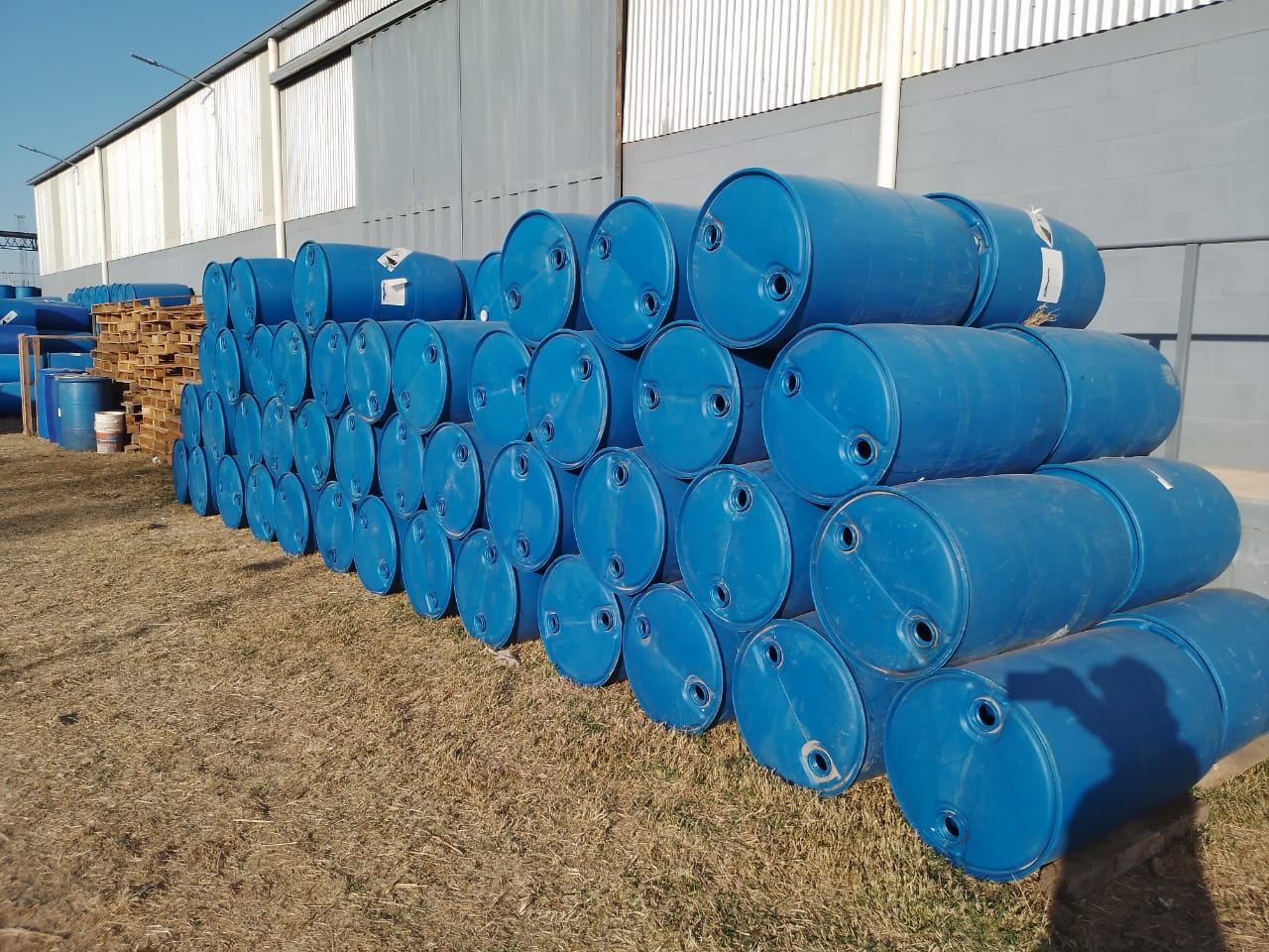 Tambores plásticos azules de 200 litros apilados en el predio de Eco Tambores
